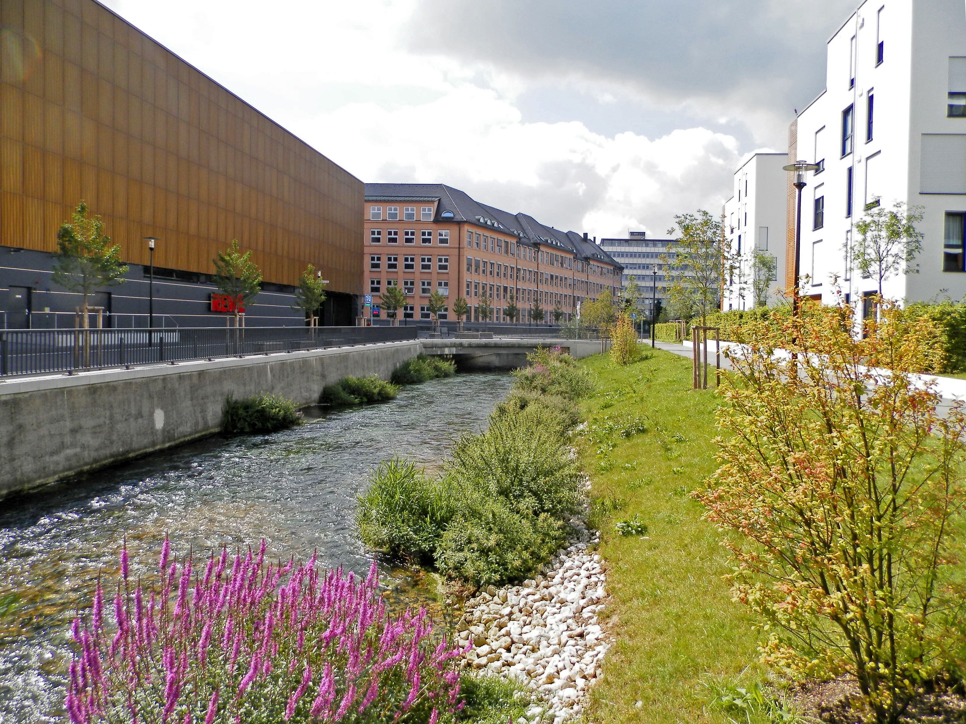 Vom Bildvordergrund in die Tiefe verlaufend zeigt die Abbildung den Fluss Brenz, der rechts von einer begrünten Böschung mit bunten Sträuchern gesäumt sowie etwas weiter seitlich von Gebäuden flankiert wird.