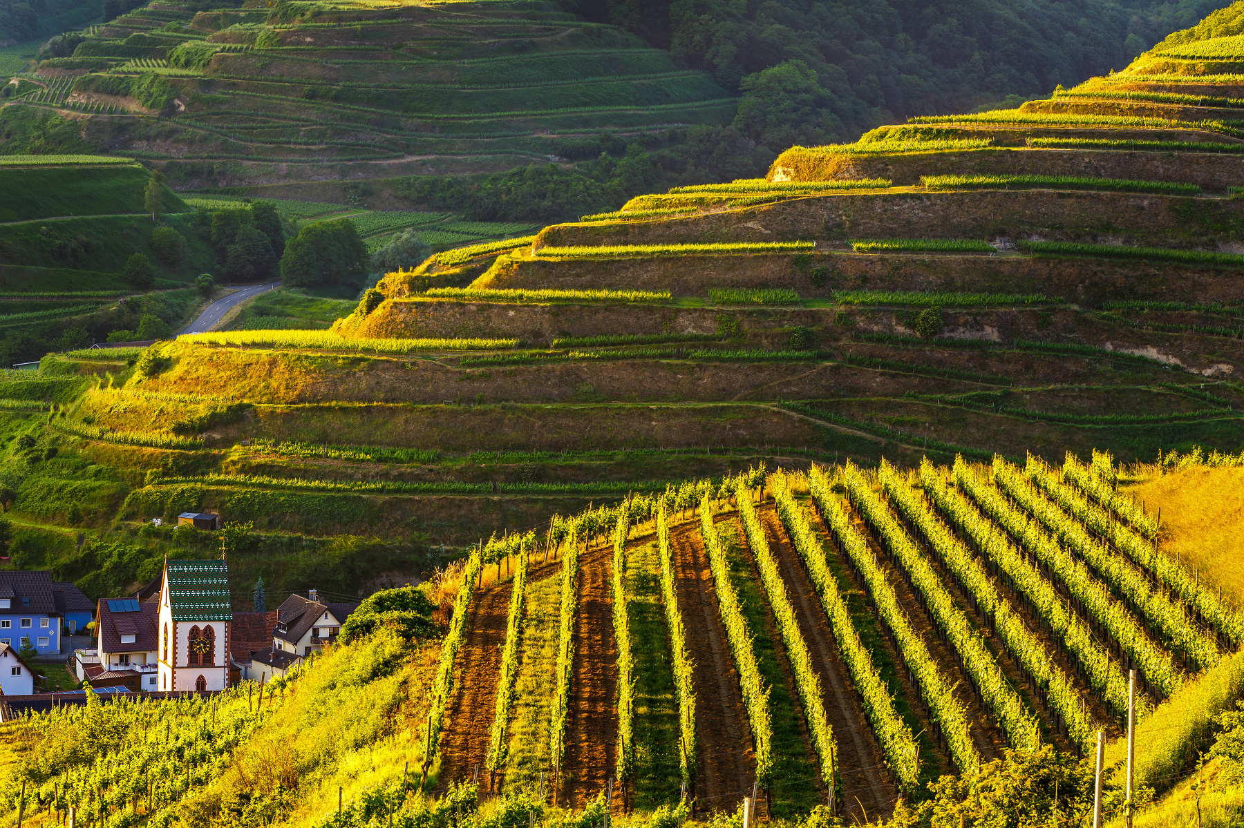 Vom Menschen geformte Kulturlandschaft am Kaiserstuhl