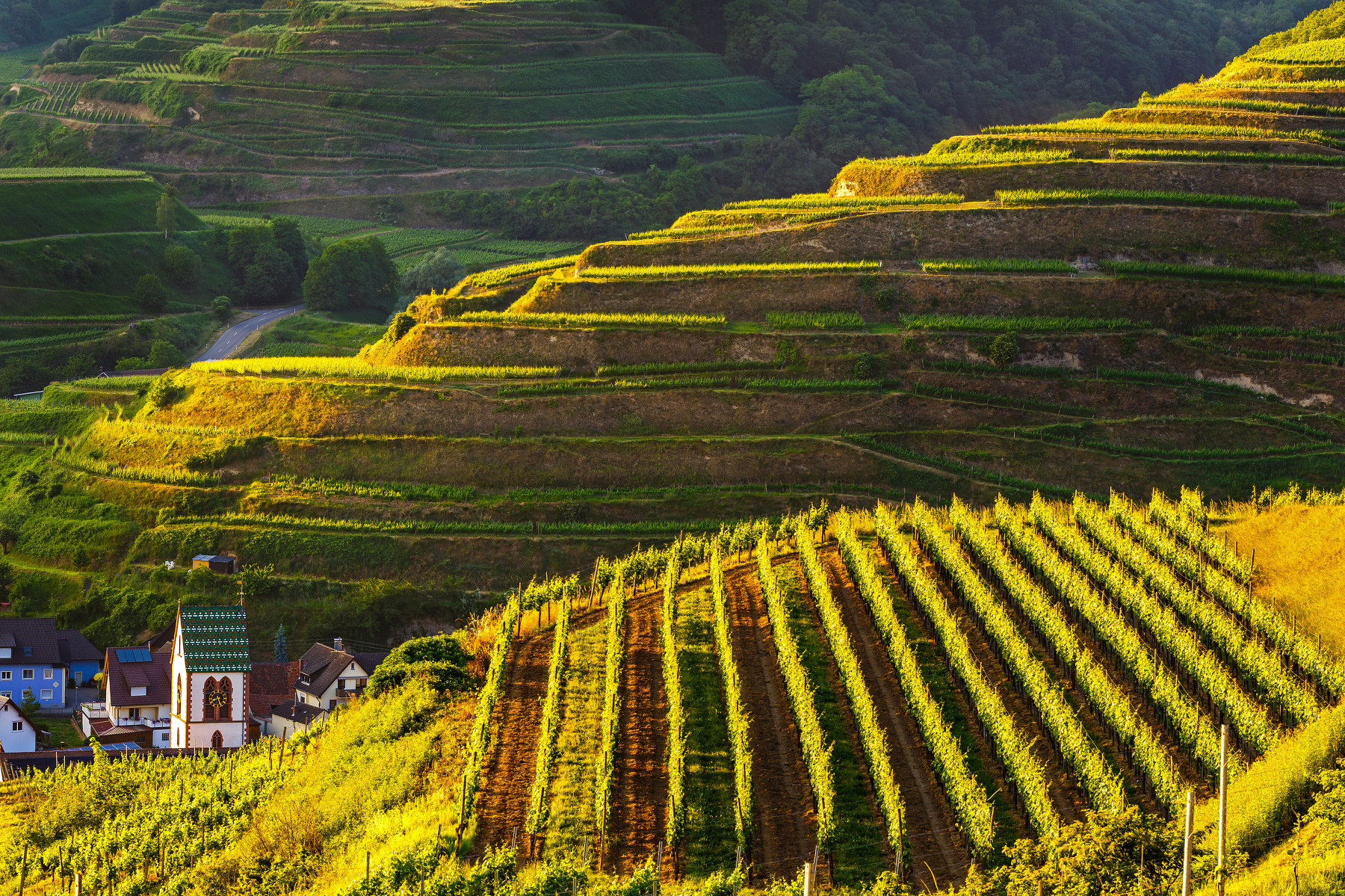 Vom Menschen geformte Kulturlandschaft am Kaiserstuhl