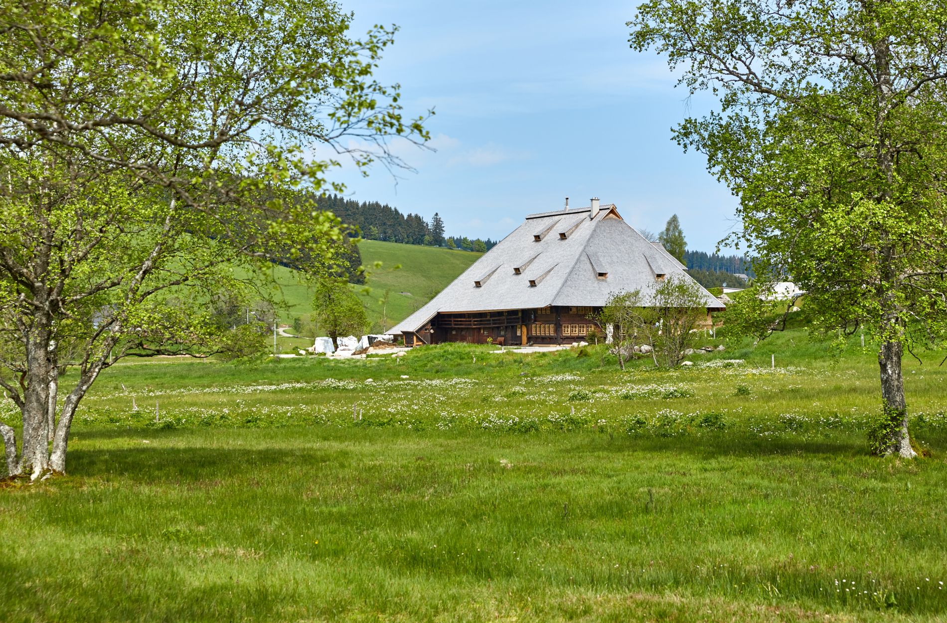 Die Abbildung zeigt den Kienzlerhansenhof in Schönwald im Schwarzwald, einen typischen Schwarzwaldhof zwischen Bäumen inmitten grüner Blumenwiesen.