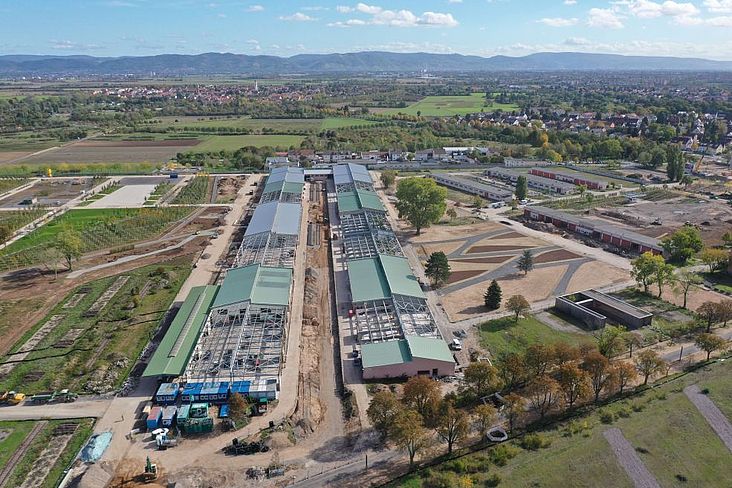 Zirkuläres Bauen in einer ehemaligen Lagerhalle auf dem Konversionsareal „Spinelli“ 